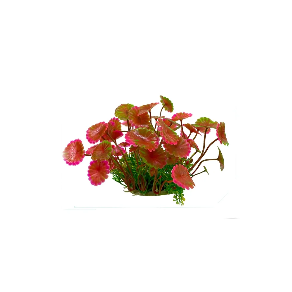 Decor for aquarium