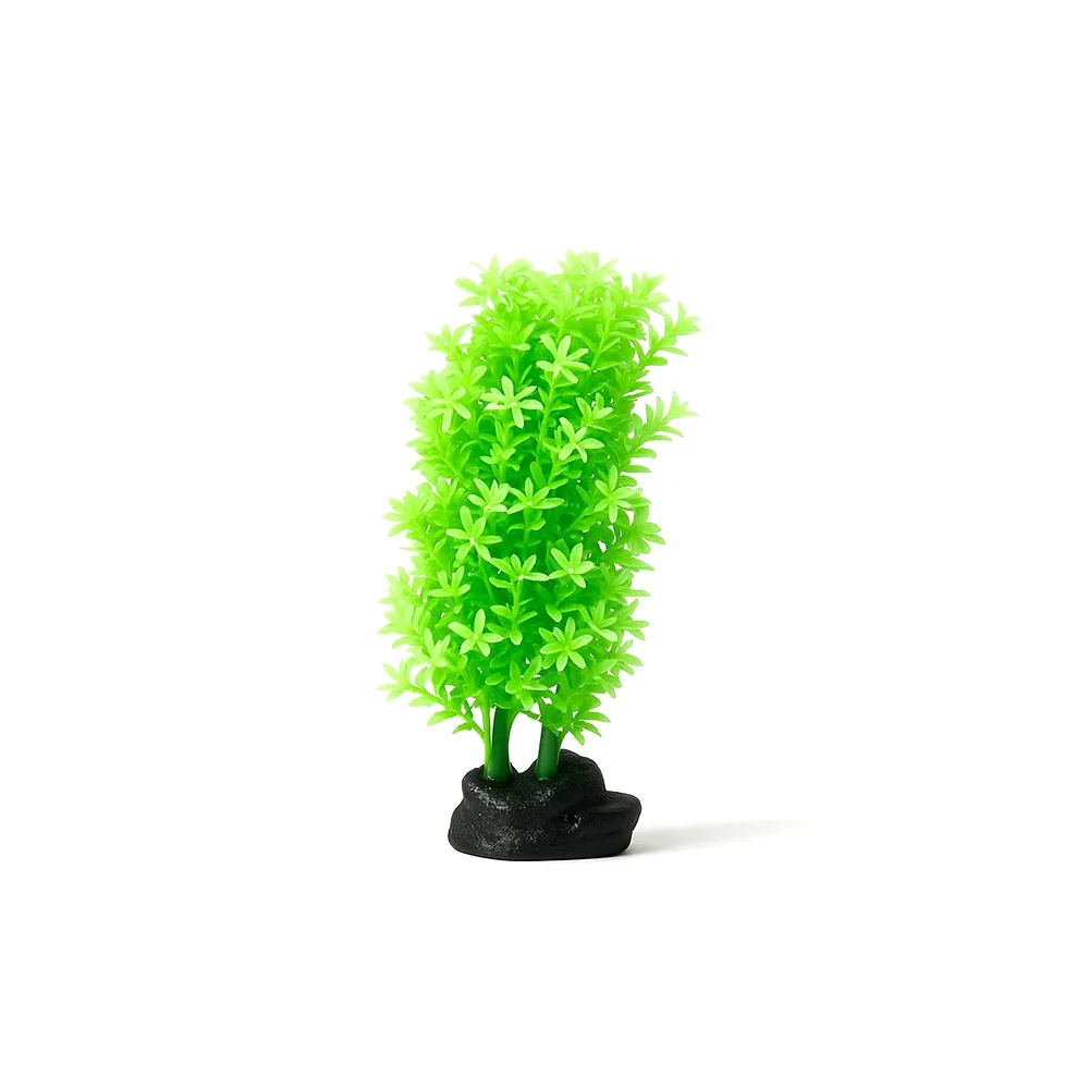 Decor  for aquarium