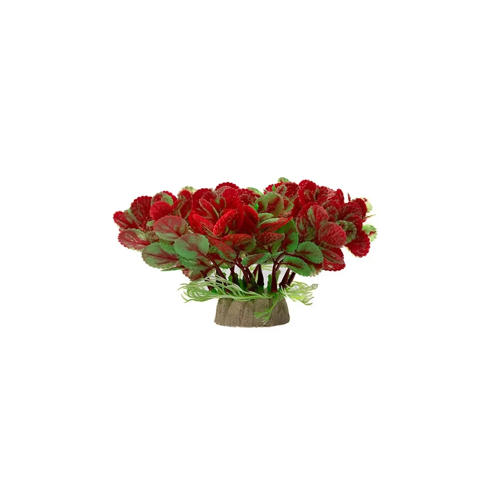Decor for aquarium
