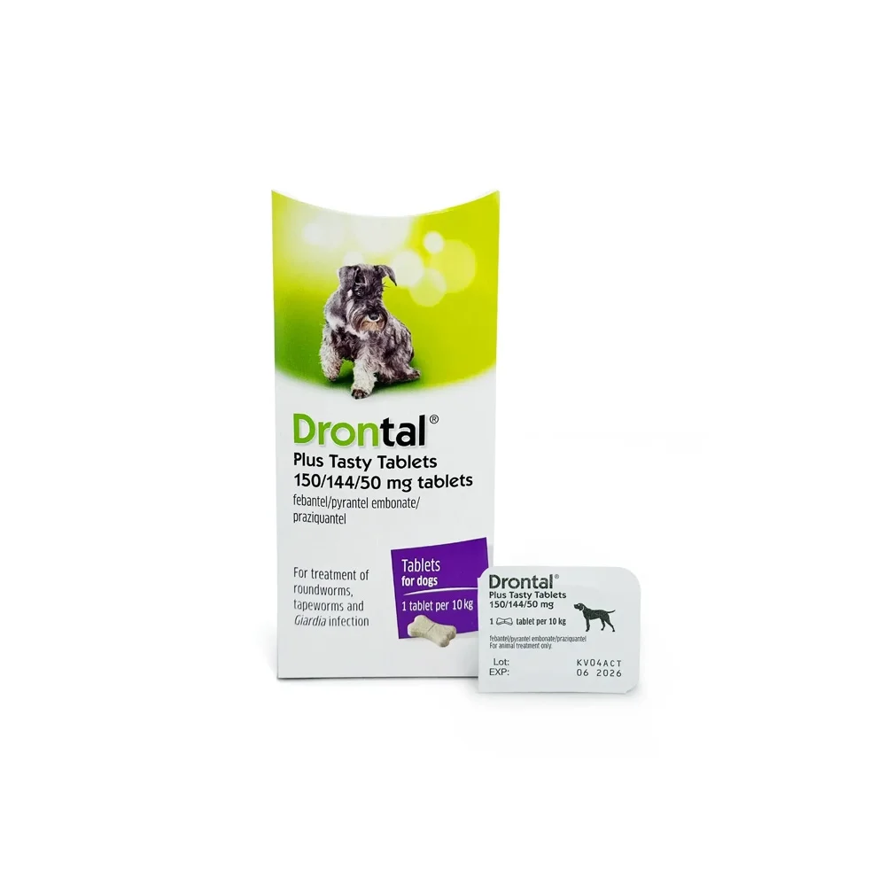 drontal antibyotik it üçün