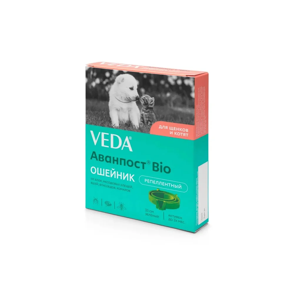Veda dog collar for puppies and kittens