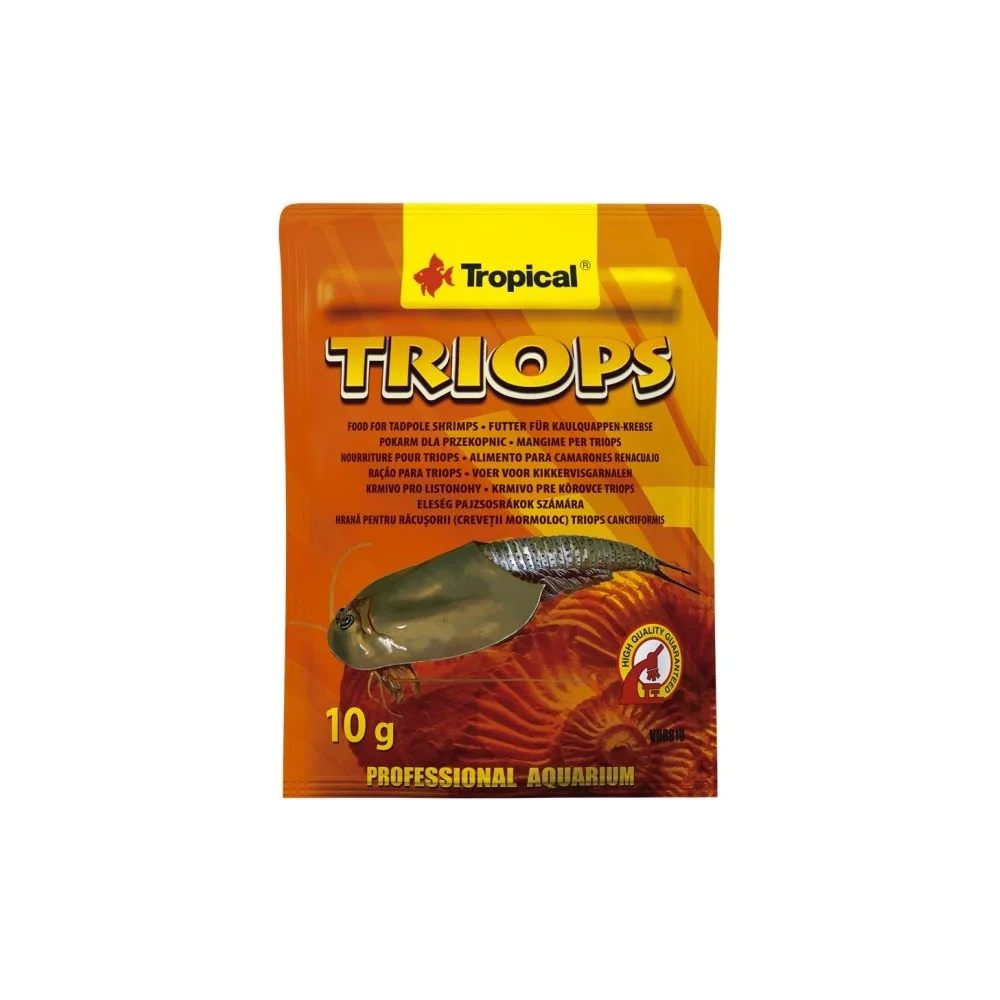 Tropical triops 10qr