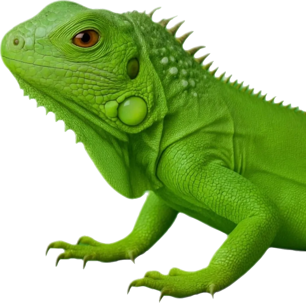 Экзотики